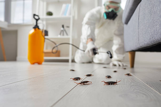 Commercial Kitchen Cockroach Control in Moundridge
